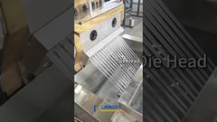 Dây chuyền tạo hạt PP PE #tái chế #máy móc #nhà máy